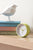 Karlsson Circus Rings KA6010GR Wecker Matchagrün • Sweep-Uhrwerk • Lichtfunktion, Bild 8