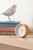 Karlsson Circus Rings KA6010OR Wecker Orange • Sweep-Uhrwerk • Lichtfunktion, Bild 4