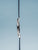 Bering Ultra Slim 17031-307 Damen • Saphirglas • Schlankes Milanaise-Design, Bild 5