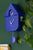 Karlsson Modern Cuckoo KA5768CB Wanduhr Kobaltblau • Kuckucksruf zur vollen Stunde • Schwebendes Pendel, Bild 4