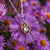 Collana color argento con ciondolo quadrato e pietra chiara