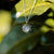 Collana "Shade" con ciondolo a sole - Nucleo in legno Modello: Jewelry