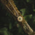 Collana a stencil con ciondolo rotondo - anima in legno Modello: Jewelry