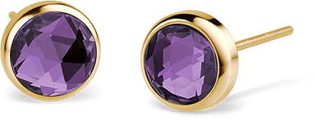 Orecchini in acciaio inossidabile - Bering Jewelry Modello: 722-2150-05