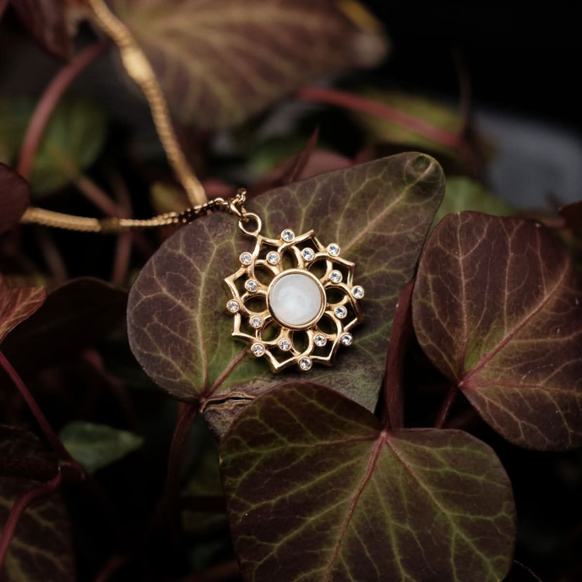 https://www.holzkern.com/media/catalog/product/8/_/8_220124_composition_gem_halskette_mondstein_gold_cv_21.jpg