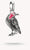 Mercoledì Corvo Charm Pendente Zirconia 925 Argento Sterling - Thomas Sabo Modello: CC1318-691-11