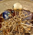 Hermle Tellurium 23069-V20352 Tischuhr • Tourbillon • Westminster-Schlagwerk