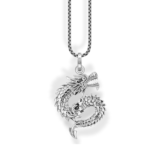 Collana in argento con ciondolo drago annerito, vista dettagliata