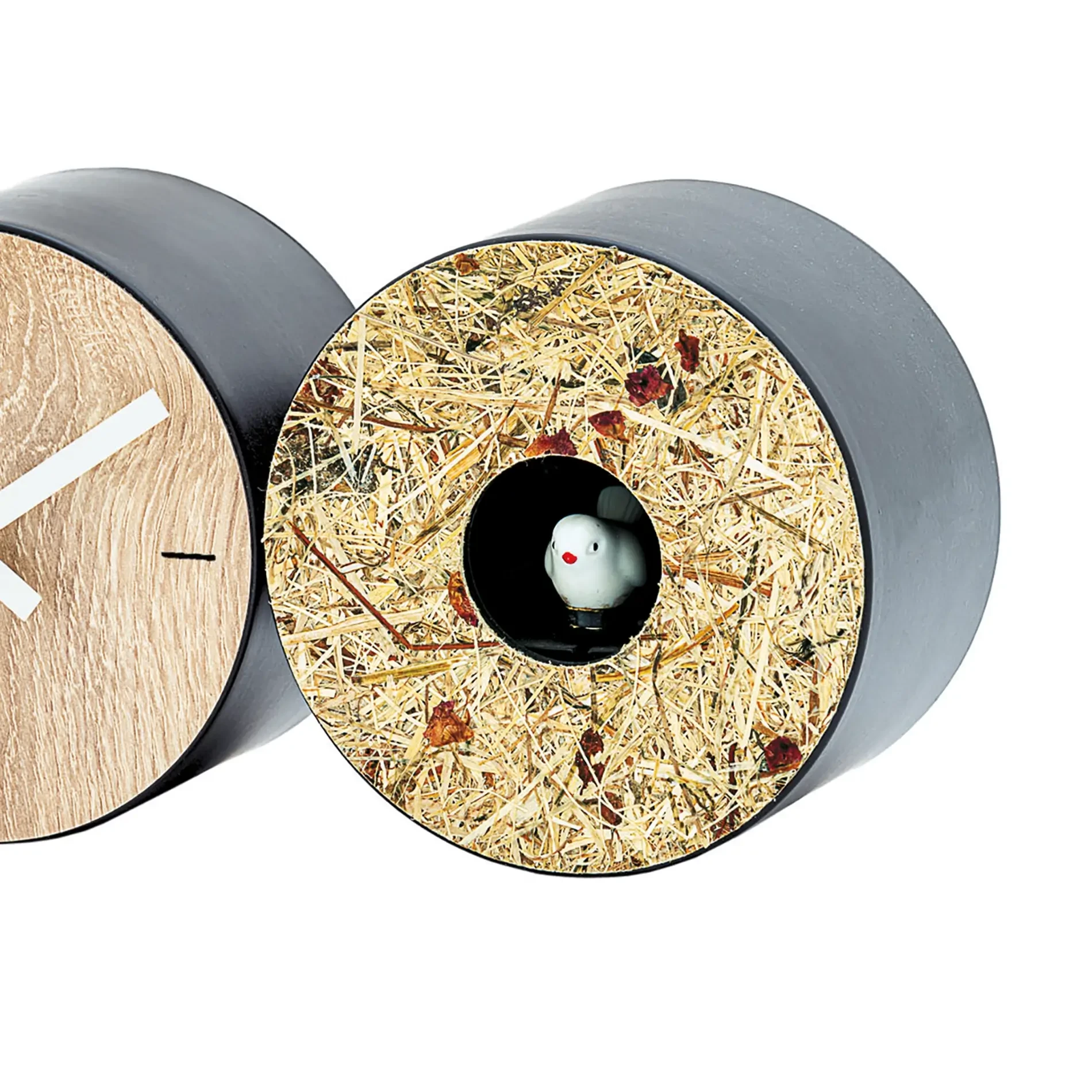 https://www.ams-clocks.de/wordpress/wp-content/uploads/2026/02/T1312_D1.webp