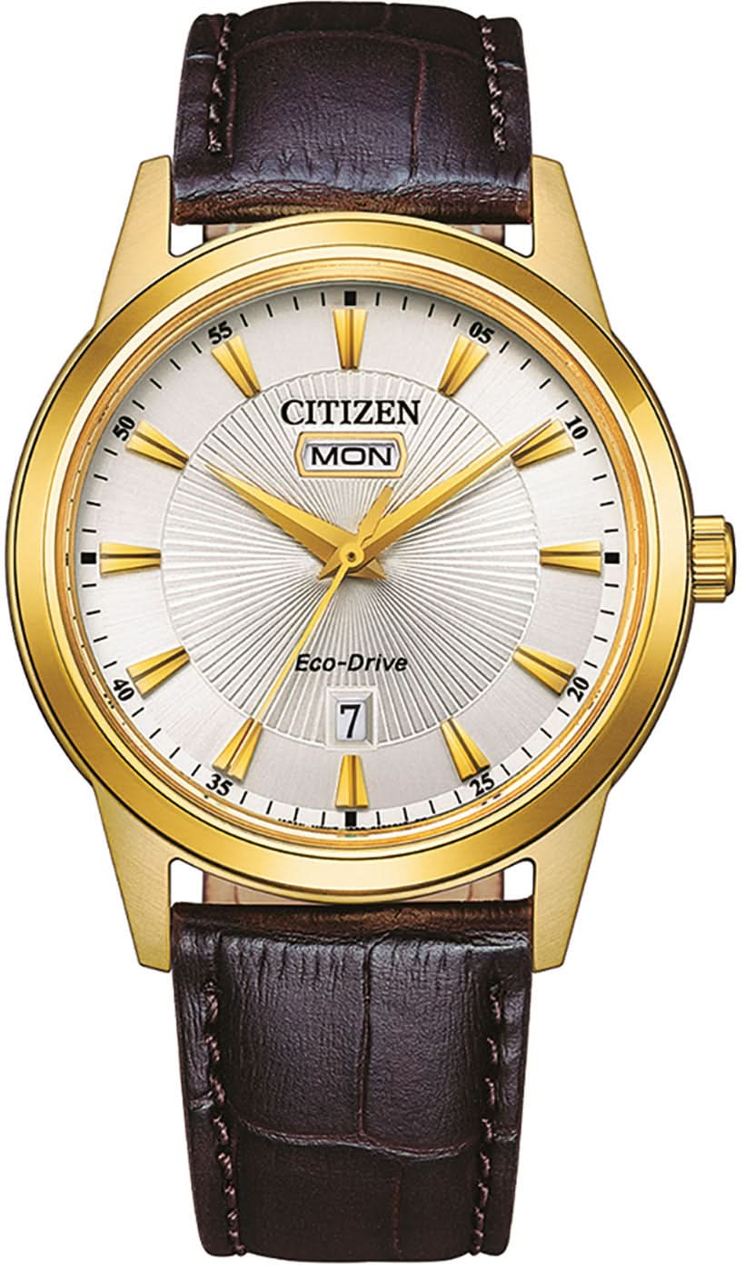 "Orologio da uomo Citizen AW0102-13AE • Solare • Cassa color oro"