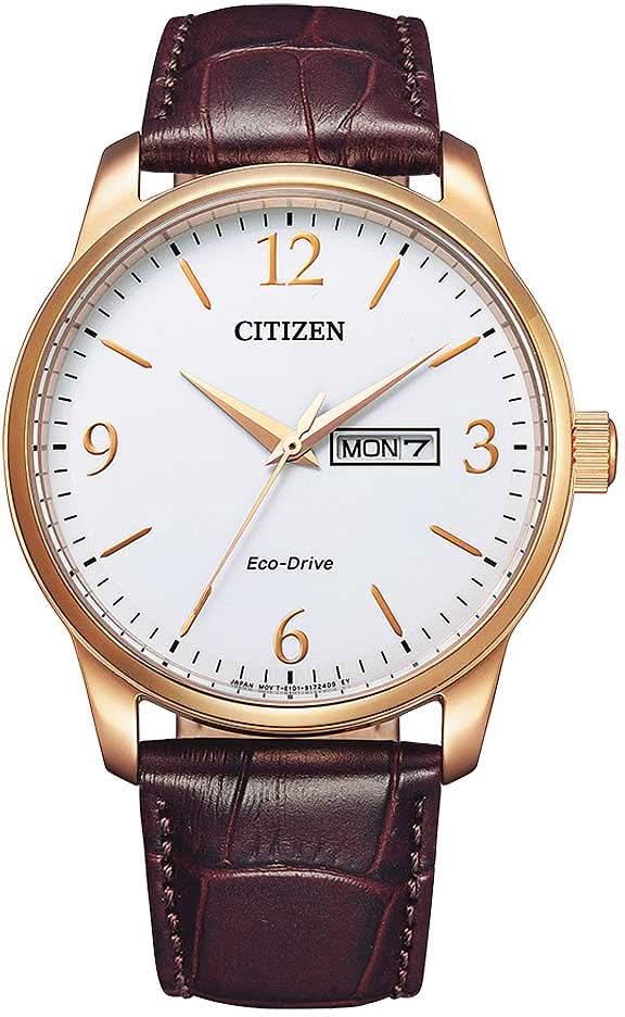 Orologio da uomo: cinturino in pelle color bordeaux, cassa color oro, quadrante bianco