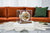 Orologio da tavolo Hermle 17x17x18,5 cm Legno • Movimento meccanico • Suoneria Westminster