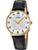 Festina Retro F20567/1 Herrenuhr Goldfarben • Kunststoffglas • Schwarzes Kalbslederarmband