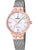 Festina Mademoiselle F20715/1 Damen • Saphirglas • Roségold-Edelstahl
