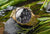 Orologio da donna Vostok Europe Vilnelė JS20-125B751B • Vetro zaffiro • Cronografo