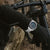 Festina Chrono Bike F20724/2 Orologio da uomo • Design sportivo cronografo • Impermeabile 20 ATM