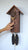 Rombach & Haas CLASSIC SLM3H-10 Orologio da Parete Legno Naturale • Movimento Meccanico 8 Giorni • Originale Orologio a Cucù della Foresta Nera