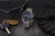 Herrenuhr auf Unterlage: blaues Zifferblatt, silbernes Edelstahlarmband, Metallgehäuse