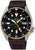 Orologio da uomo con quadrante nero, lunetta color oro e cinturino in pelle marrone.