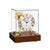 Orologio da tavolo in cassa di vetro con quadrante bianco e base in noce