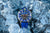 Orologio da uomo Vostok Europe Engine VK67-650A720 • Illuminazione al trizio • 30 ATM