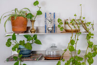 Orologio da tavolo in alluminio con movimento scheletrato - Hermle Modello: 23025-Q70721