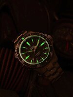 Orologio da uomo P67 Diver Automatic Green - Serie: Diver Collection - Traser Modello: 110328