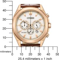 Orologio da Uomo Serie: Citizen Sports - Citizen Model: CA4593-15A