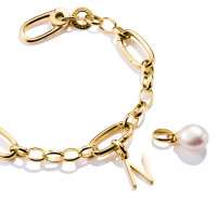 Thomas Sabo Charm-Anhänger Buchstabe N Connect vergoldet