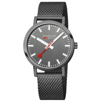 Classic, Grauer Edelstahl, 40 mm