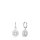 Arctic Flowers Set steel white